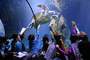 Fisch-Inventur bei Sea-Life (©Foto: Martin Schmitz)